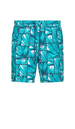 Volley Agave Print Swim Shorts in . Taglia L. Also in M, S, XL/1X - Original Penguin - Modalova