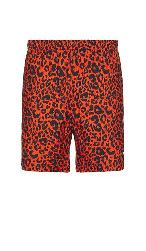 SHORT DE SPORT LEOPARD en . Taille L. Also en S - Pleasures - Modalova