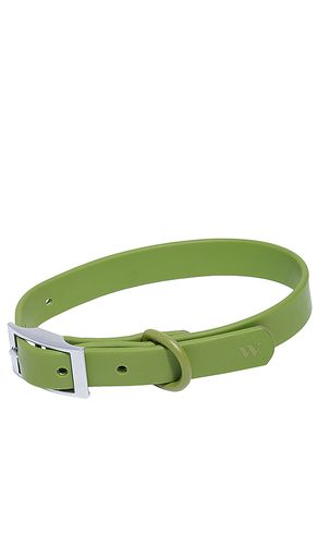 Cuello dog collar en color verde oliva talla all - Wild One - Modalova