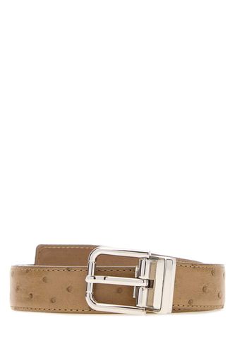 Dolce & Gabbana Sabbiachiaro Belt - Dolce & Gabbana - Modalova