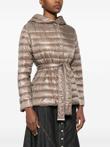 HERNO- Nylon Short Down Jacket - Herno - Modalova