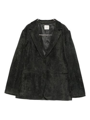 Alysi Velvet Single-Breasted Jacket - Alysi - Modalova
