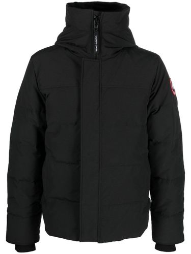 Canada Goose Macmillan Down Jacket - Canada Goose - Modalova