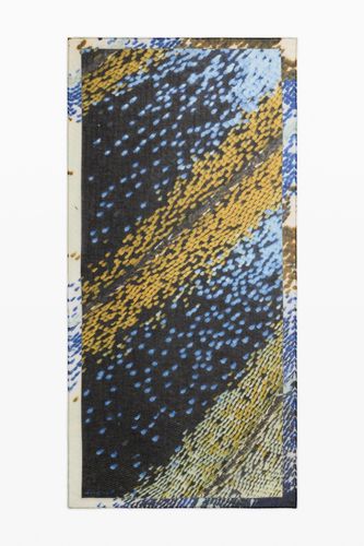 Printed Rectangular Scarf - U - Desigual - Modalova