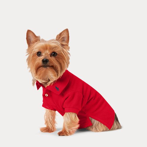 Cotton Mesh Dog Polo Shirt - Polo Ralph Lauren - Modalova