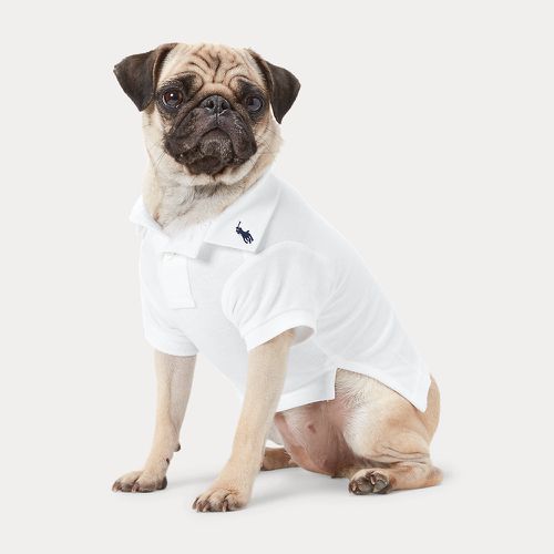 Cotton Mesh Dog Polo Shirt - Polo Ralph Lauren - Modalova