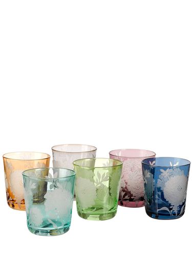 Set De 6 Vasos Peony - POLSPOTTEN - Modalova