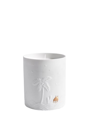 Candela Haas Mojave Palm - L'OBJET - Modalova