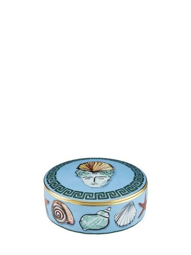 Caja Nettuno Redonda De Porcelana 13cm - GINORI 1735 - Modalova