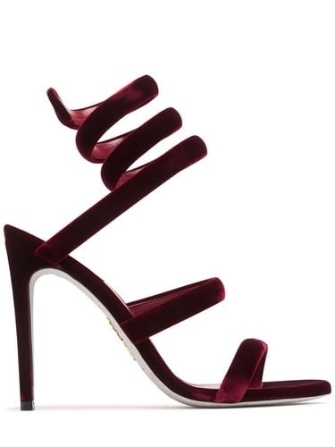 Mm Cleo Velvet Sandals - RENÉ CAOVILLA - Modalova