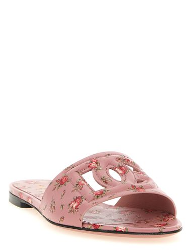 Calfskin Women's Slides - Dolce & Gabbana - Modalova