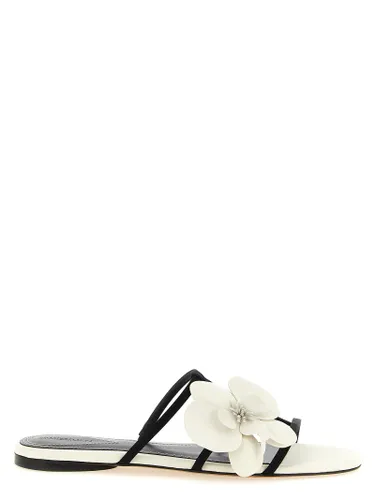 Leather Women's Slides - Zimmermann - Modalova