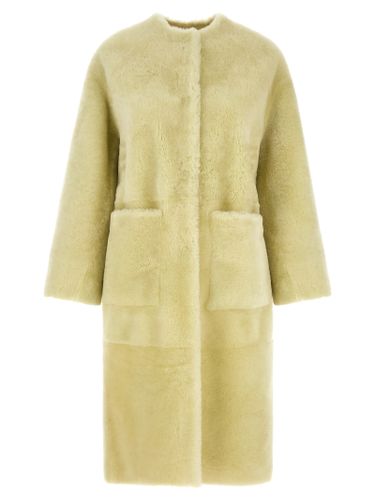 Lamb Fur Women's Coat - BLANCHA - Modalova