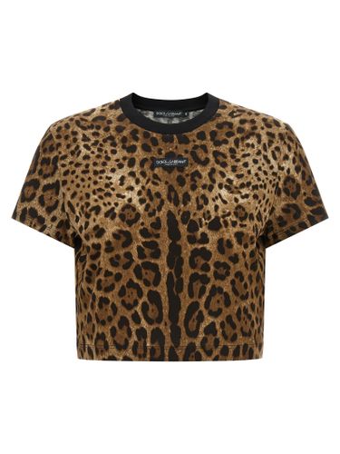 Cotton Women's T-Shirt - Dolce & Gabbana - Modalova