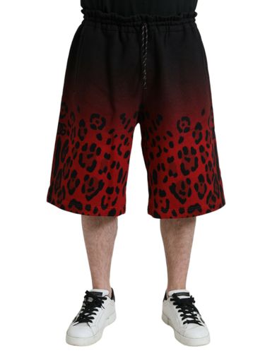Red Leopard Print Cotton Bermuda Men's Shorts - Dolce & Gabbana - Modalova
