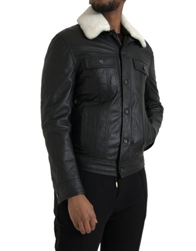 Leather Fur Collar Biker Coat Men's Jacket - Dolce & Gabbana - Modalova