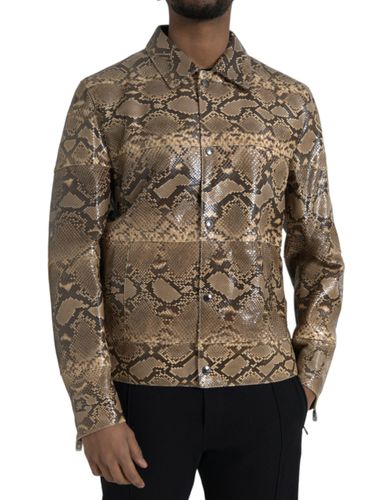 Exotic Leather Biker Blouson Men's Jacket - Dolce & Gabbana - Modalova