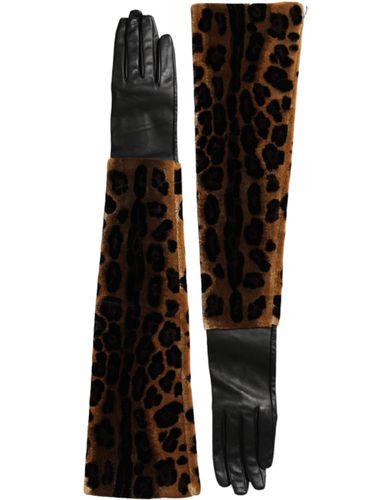 Brown Black Leopard Leather Elbow Length Women's Gloves - Dolce & Gabbana - Modalova
