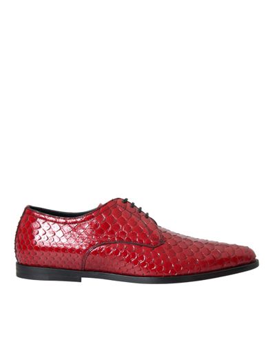 Textured Varnished Derby Men Formal Men's Shoes - Dolce & Gabbana - Modalova