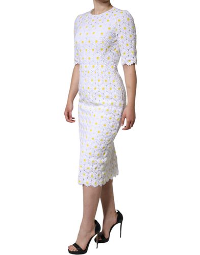 Daisy Macrame Lace Sheath Midi Women's Dress (Pre-Owned) - Dolce & Gabbana - Modalova
