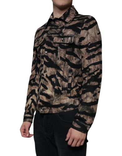 Brown Tiger Button Down Collared Men's Jacket - Dolce & Gabbana - Modalova