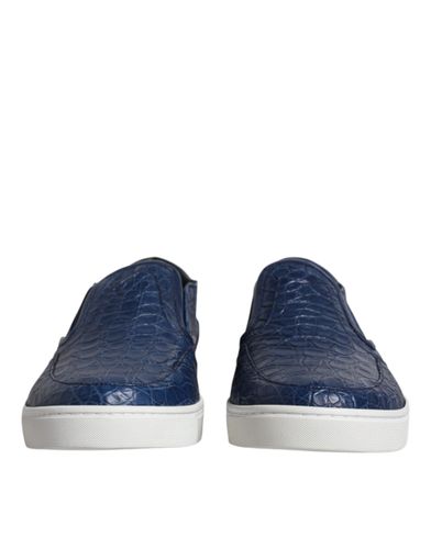 Croc Exotic Leather Men Sneakers Men's Shoes - Dolce & Gabbana - Modalova