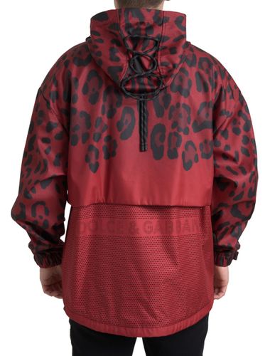 Leopard Hooded Rain Coat Men's Jacket - Dolce & Gabbana - Modalova