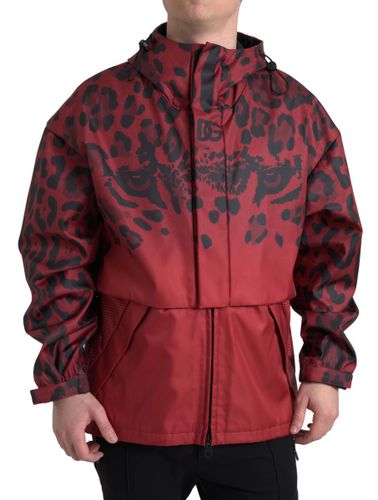 Leopard Hooded Rain Coat Men's Jacket - Dolce & Gabbana - Modalova