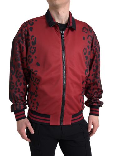 Leopard Polyester Bomber Full Zip Men's Jacket - Dolce & Gabbana - Modalova