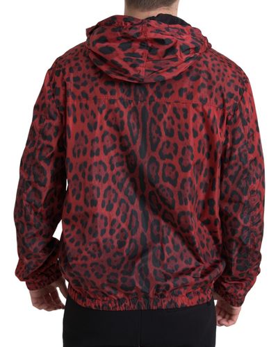 Leopard Hooded Bomber Full Zip Men's Jacket - Dolce & Gabbana - Modalova