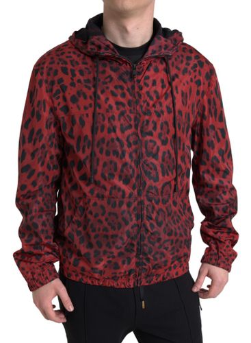 Leopard Hooded Bomber Full Zip Men's Jacket - Dolce & Gabbana - Modalova