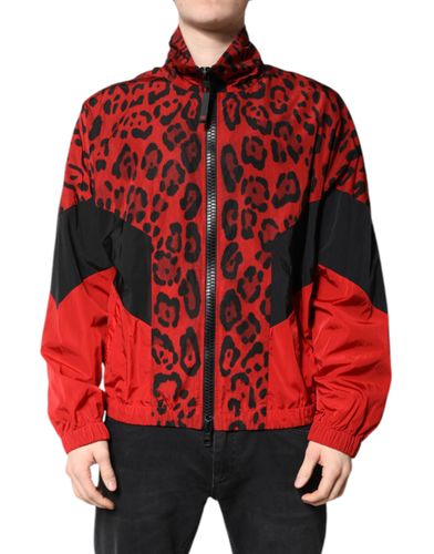 Leopard Nylon Bomber Full Zip Men's Jacket - Dolce & Gabbana - Modalova