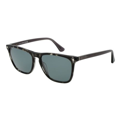 Web Black Acetate Men's Sunglasses - Web - Modalova
