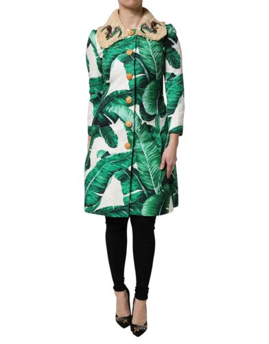 Leaf Print Embellished Trenchcoat Women's Jacket - Dolce & Gabbana - Modalova
