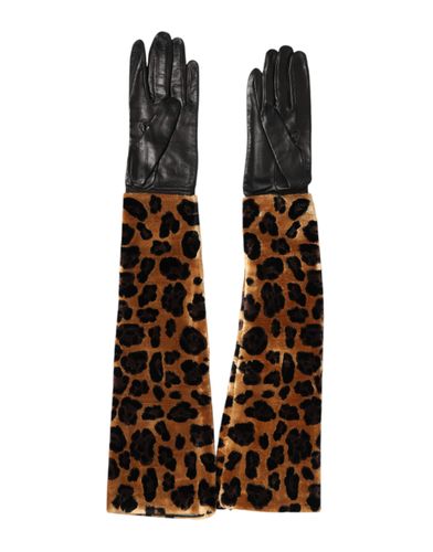 Brown Black Leopard Leather Elbow Length Mitten Women's Gloves - Dolce & Gabbana - Modalova