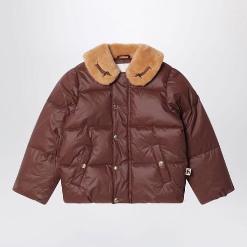 Brown down jacket with dachshund - Mini Rodini - Modalova