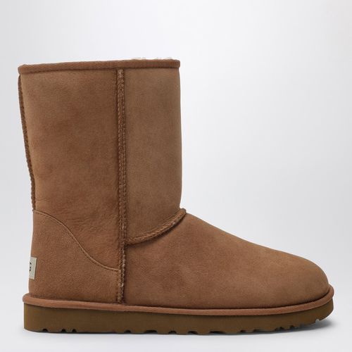 Classic Short boot chestnut - UGG - Modalova