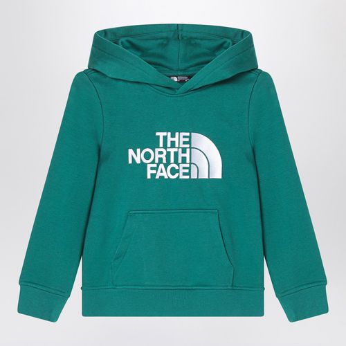 Green hooded sweatshirt - The North Face - Modalova