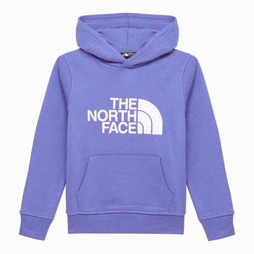 Blue cotton hoodie with logo - The North Face - Modalova