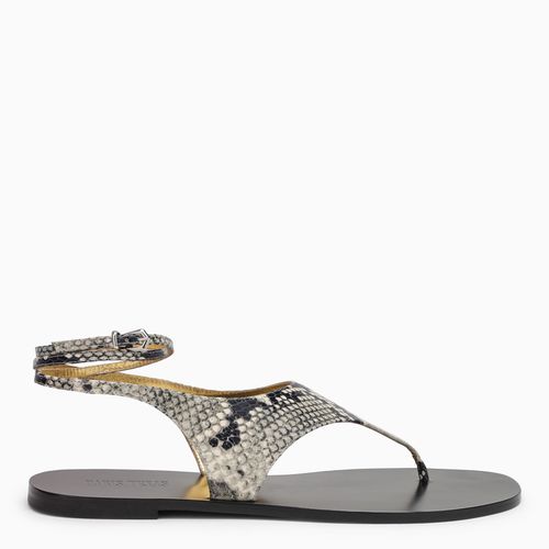 Amalfi thong sandal in leather - Paris Texas - Modalova