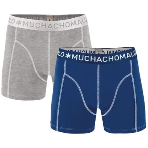 P Cotton Stretch Basic Boxers Blau/Grau Baumwolle Medium Herren - Muchachomalo - Modalova