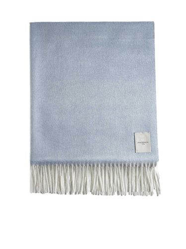 Piacenza Cashmere Scarf - Piacenza Cashmere - Modalova