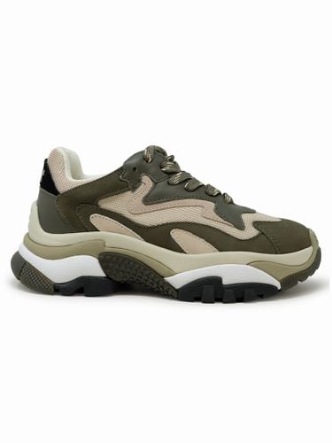 Military Green Leather Addict03 Sneakers - Ash - Modalova