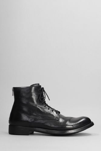 Hive 016 Ankle Boots In Leather - Officine Creative - Modalova