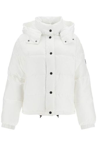 Pinko down Jacket With Logo Patch - Pinko - Modalova