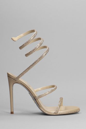 Beige Cleo Jewel Sandal - René Caovilla - Modalova