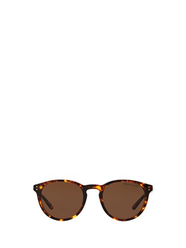 Ph4110 Shiny Antique Havana Sunglasses - Polo Ralph Lauren - Modalova