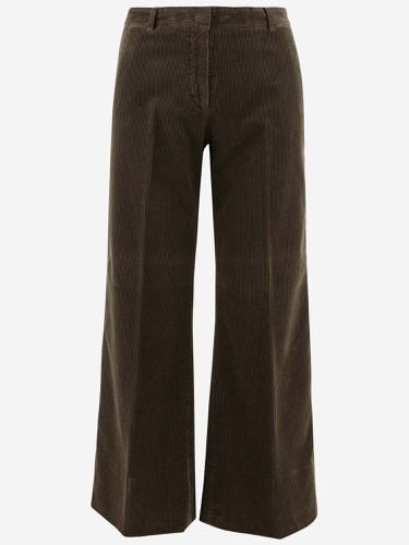 Stretch Cotton Velvet Flared Pants - QL2 - Modalova