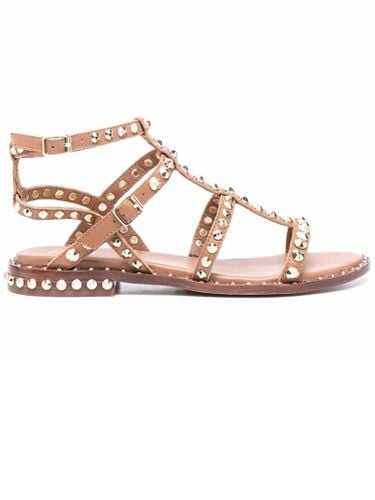 Ash Brown Leather Precious Sandals - Ash - Modalova