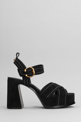 Ash Melany Sandals In Black Suede - Ash - Modalova
